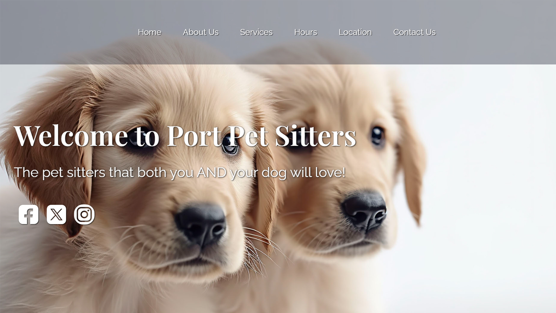 an image of Port Pet Sitters website